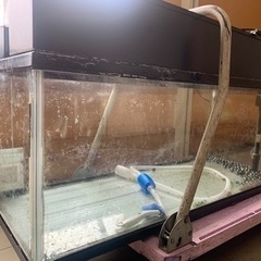 熱帯魚水槽　1,200cm