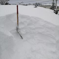 除雪や雪下ろしなど!