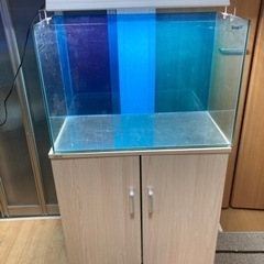 60センチオールガラス水槽　透明ブルースクリーン　水槽台