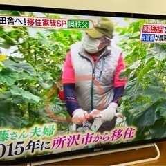 ソニー BRAVIA 40型 液晶テレビ 2014年製　kdl-40w600b