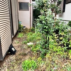 現金当日日払い⭐️ 庭草むしり&室内掃除　アルバイト ⭐️1月1...