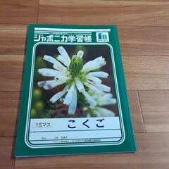 170ジャポニカ学習帳⑤JNk170