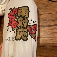 【ネット決済】AKB48 雨対応　レイン　ポンチョ