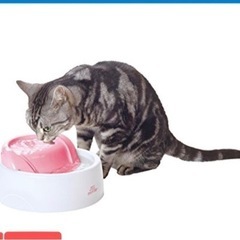 【受渡し予定】猫用フィルター式給水器