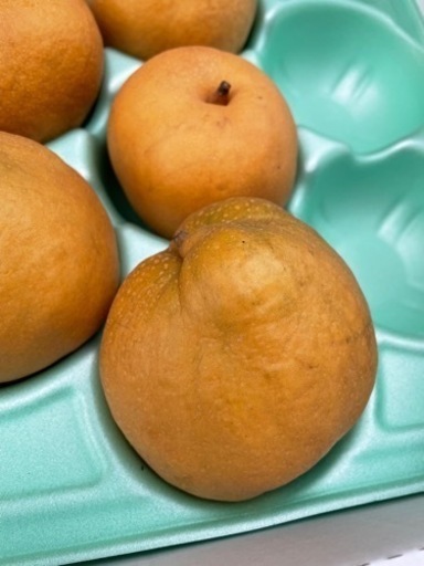 梨 ワイン煮用3k スパイス付 なしっこ 亀田の食品の中古あげます 譲ります ジモティーで不用品の処分