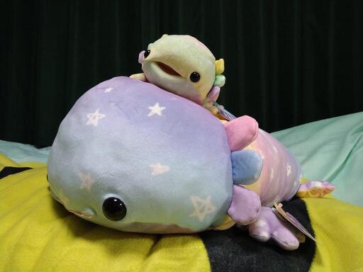 ウーパールーパー 親子セット ぬいぐるみ グルヌイユ 柏のおもちゃ ぬいぐるみ の中古あげます 譲ります ジモティーで不用品の処分 ウーパールーパー 親子セット ぬいぐるみ グルヌイユ 柏のおもちゃ ぬいぐるみ の中古あげます 譲ります ジモティーで不用品の処分