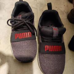 puma ランニング靴　23.5cm