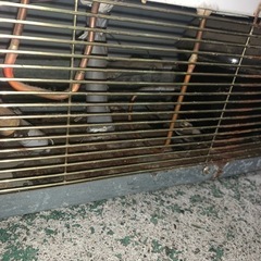 TOSHIBA 冷凍庫　冷凍ストッカー　98リットル　スライドドア　古いですがバッチリ冷えます