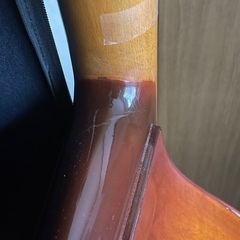 Strunal ストルーナル　ウッドベース　コントラバス　ソフトカバー付　米国輸入品