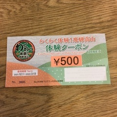 飛騨高山体験クーポン3000円分