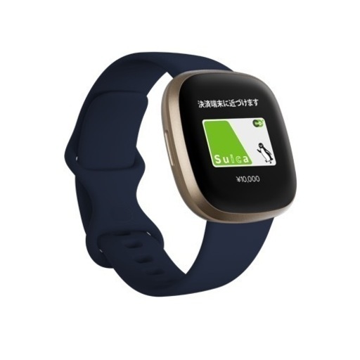 fitbit versa3  全部入ってます