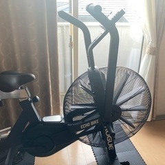 Rougue Echo bike ローグ エコーバイク