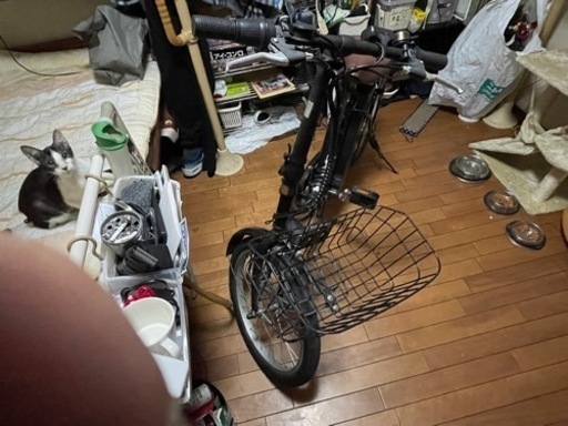 電動自転車(モペット)