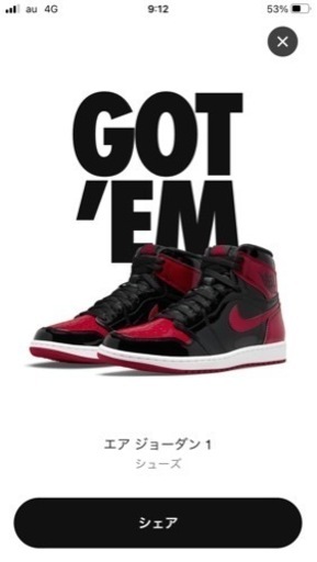 エアジョーダン1 ハイ patent bred 25センチ | noonanwaste.com