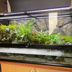 ☆杜のメダカ渓流魚飼育にオススメ！！完成品☆9045 エキゾテラ