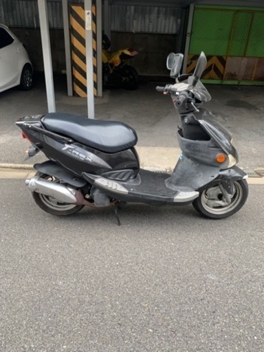 PGO T-REX125(取引決定)