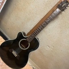 takamine エレアコ　レフティー