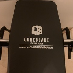 ファイティングロードのキングスセットとシャフト、プレートセット