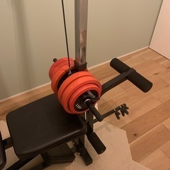 ファイティングロードのキングスセットとシャフト、プレートセット