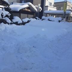 除雪・排雪､雪降ろしします。