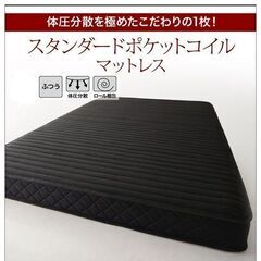 あんしん決済・分割払い可　7月13日再入荷　未使用訳あり　ポケッ...