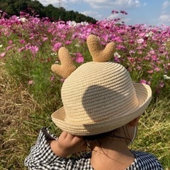 広島県　宮島のお土産　鹿の帽子を探しています