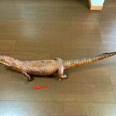 ★アンティーク・レア!!体長115㎝・ワニのはく製です★