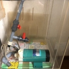引き取り、90センチオーバーフロー水槽セット