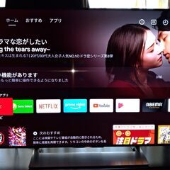 【ネット決済】SONY BRAVIA X9000E KJ-49X...