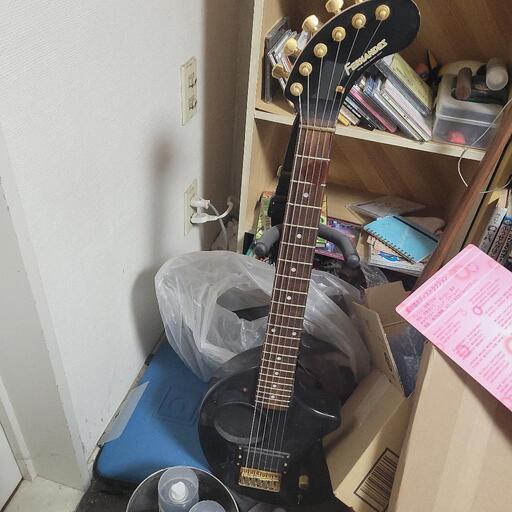 FERNANDES ZO-3 ゾウさん