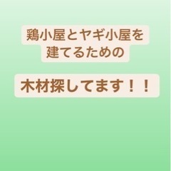 木材探してます！！角材、ベニヤ、ツーバイ