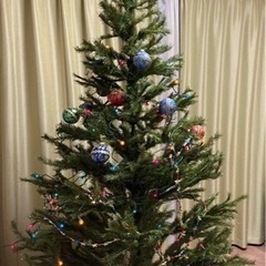 【大泉学園】クリスマスツリーの画像