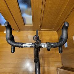 【最終値下げ】TERN SURGE PRO DELTA 52サイズ 2019