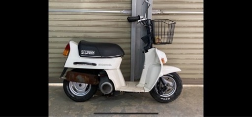 スカッシュ 50