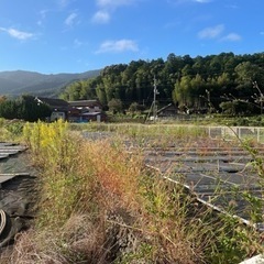 空き地などの草刈り、除草剤散布