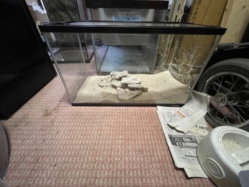 海水魚飼育セット