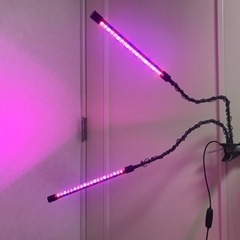 （決まりました）観葉植物に！　LEDライト　　無料で差し上げます！