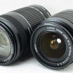 初心者向け●バリアングル液晶●Wi-Fi転送●キャノン EOS kiss X5 1ヶ月動作保証あり！安心のゆうパック代引き発送！送料、代引き手数料無料！