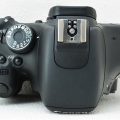 初心者向け●バリアングル液晶●Wi-Fi転送●キャノン EOS kiss X5 1ヶ月動作保証あり！安心のゆうパック代引き発送！送料、代引き手数料無料！