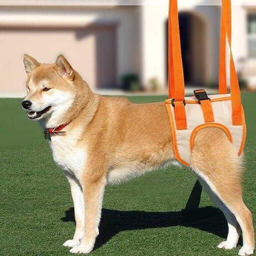 犬用介護ハーネス 犬 補助ハーネス 犬歩行補助 介助 散歩 メッシュ リード