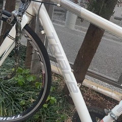 トライエース　ホワイト