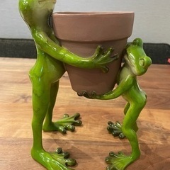 カエルの植木鉢