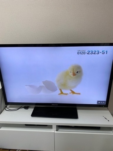 ハイセンス 50型 液晶テレビ