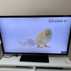 【ネット決済】ハイセンス 50型 液晶テレビ