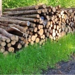 薪ストーブ用の薪に使えそうな木材
