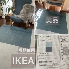 IKEA ラグ　お迎えされました❣️