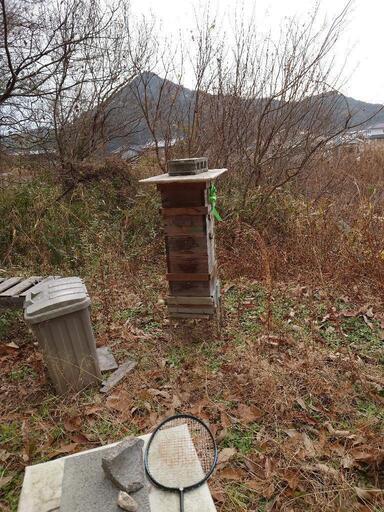 日本蜜蜂・巣箱と蜂セット・取りに来られる方限定 日本蜜蜂・巣箱と蜂セット・取りに来られる方限定