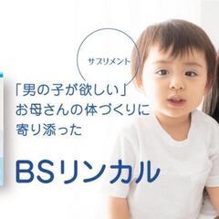 【ネット決済】【受付終了】BSリンカル(未開封)