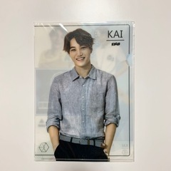 EXO カイ ファイル ②