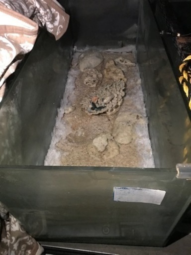 120センチ水槽＋90センチ水槽セット
